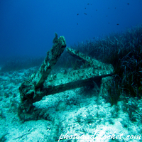 Wooden Anchor - Image